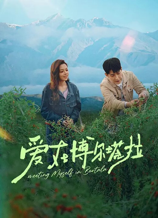 帝祭之芙雨门大玩具 - 国产高清海报